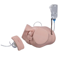 3B Scientific Catheterization simulator PRO SET F/M — for Medical Simulators in Clinical and Institutional Care