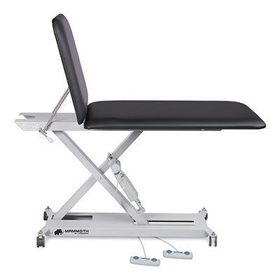 Hausmann Mammoth 2: 2-Section Hi-Lo Examination Table with Custom Upholstery — for Treatment and Examination Rooms