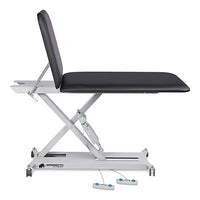 Hausmann Mammoth 2: 2-Section Hi-Lo Examination Table with Custom Upholstery — for Treatment and Examination Rooms