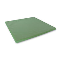 Whitney Brothers Floor Mat for Nature View Play House Cube, Green — for Exercise and Therapy Floor Work