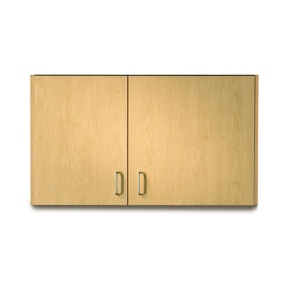 Clinton Wall Cabinet, 2 Doors, Wide Right, 42" x 12" x 24" — for Treatment Cabinet in Clinical and Institutional Care