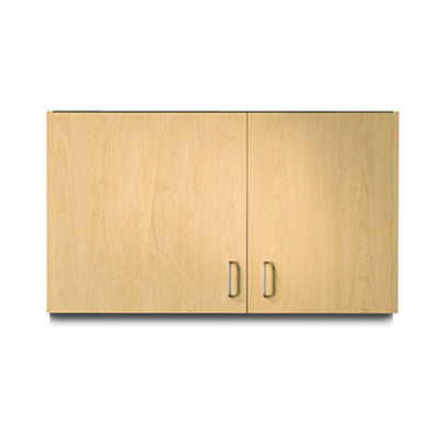 Clinton Wall Cabinet, 2 Doors, Wide Left, 42" x 12" x 24" — for Treatment Cabinet in Clinical and Institutional Care
