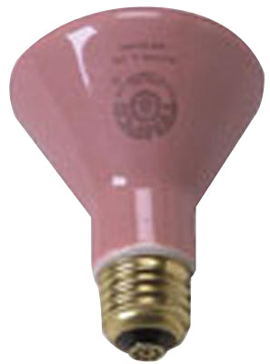 Generic Accessories - (750 watt) Ceramic Bulb - each — for Heat Lamps in Clinical and Institutional Care