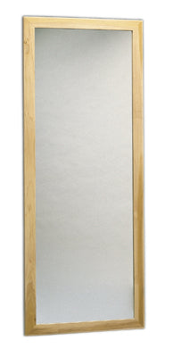 LiteMirror Glass mirror, wall mount, vertical, 22" W x 60" H — for Therapy and Rehabilitation Programs