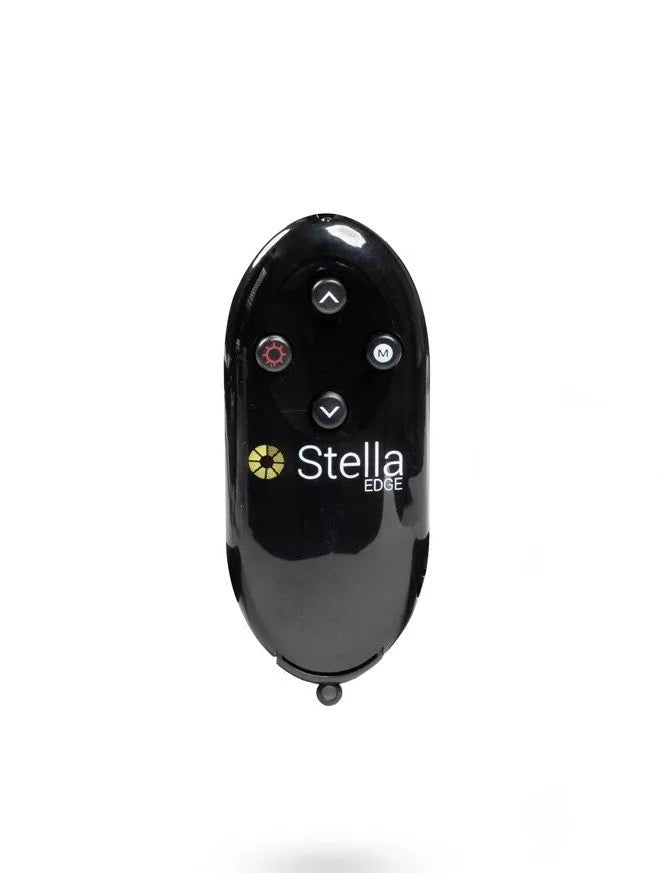 Walters LAMPSTELLAFBR Stella LED Floor Lamp in Black Remote