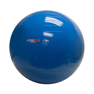 PhysioGymnic Inflatable Exercise Ball - Blue - 34" (85 cm) — for Treatment and Examination Rooms