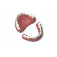 Laerdal Denture Set – Upper/Lower