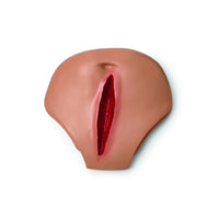 Heartsmart Abdominal Module with Simulated Blood - Adult Male and Female