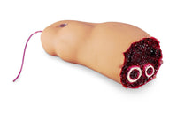 Heartsmart Simulaids Amputated Leg Smart Stat
