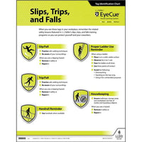 JJ Keller EyeCue Slips, Trips & Falls Laminated Poster