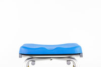 Platinum Health Apex Hip Chair — for Safe Bathing and Hygiene