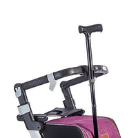 Rollz Flex Cane Holder — for Safe and Supported Mobility