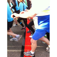 Checkers 5-Channel Guard Dog® Cable Protectors for 1.325" Lines