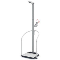 Seca Scale-up Line Scale with Hand-Rail and Telescopic Height Rod