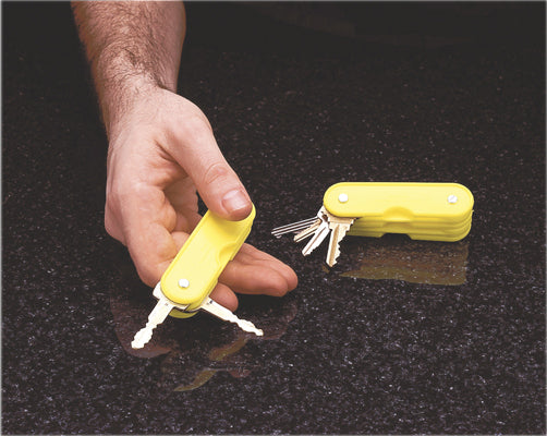 FabLife Plastic 4-key holder — for Household Gadgets in Clinical and Institutional Care