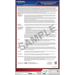 J. J. Keller Workers with Disabilities Poster - English, 11-3/4" W x 20" H