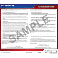 J.J. Keller Puerto Rico Working Women's Bill of Rights Law Poster