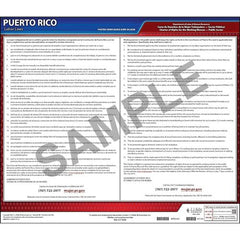 J. J. Keller Puerto Rico Working Women's Bill of Rights Law Poster - Laminated