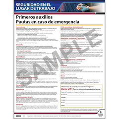 J. J. Keller First Aid Guidelines Instructional Chart - Spanish