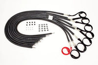 Shuttle MVP Headend Elasticords, Set of 8 (7 Black, 1 Red Tether) — for Fitness Equipment in Clinical and Institutional Care