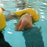 Danmar Products 8722 Swim Loops Arm and Ankle Flotation Aids (Set of 2)