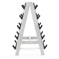 Freemotion Barbell Rack – Space-Saving 10-Bar Vertical Storage System for Commercial Weight Rooms