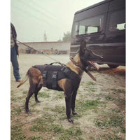 EDI K9 Level III-A Bullet-Resistant Vest