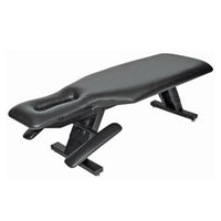 ErgoBench Adjusting Table with Fixed Top - Height-Adjustable Adjusting Bench