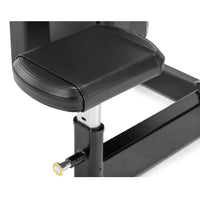 Freemotion EPIC Selectorized Torso Rotation Machine for Core and Rotational Stability Conditioning