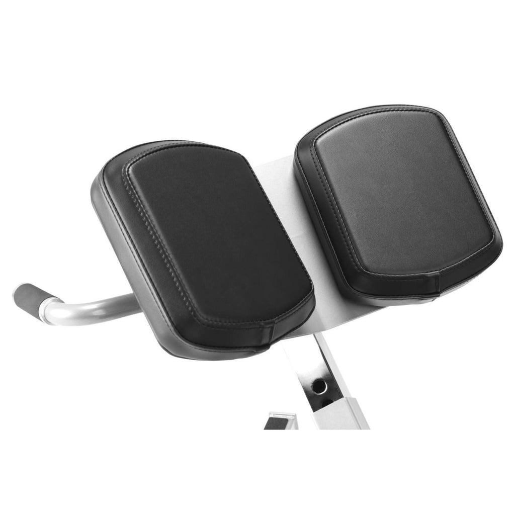 Freemotion EPIC 45° Back Extension – High-Capacity Lower Back and Posterior Chain Conditioning Station