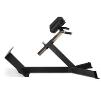 Freemotion EPIC 45° Back Extension – High-Capacity Lower Back and Posterior Chain Conditioning Station