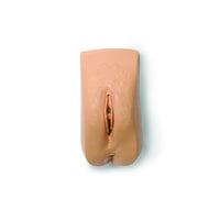 Heartsmart Laerdal Adult Female Genitalia