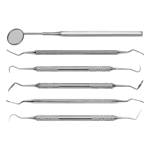 Jorgensen Labs Basic Dental Prophy Pack | Essential 4-Instrument Kit for Veterinary Prophylaxis