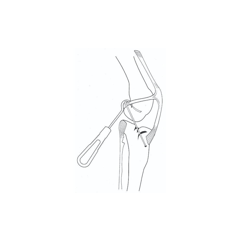 Jorgensen Labs Small Eyed Graft Passer for Veterinary Surgical Precision