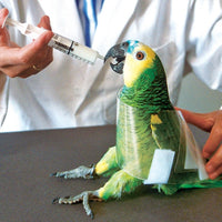 Jorgensen Labs X-Large Auspex Avian Restraint