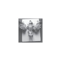 Jorgensen Labs Auspex Avian Positioner for Radiographic Imaging
