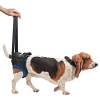 Jorgensen Labs Walkabout Harness X-Small Mobility Support