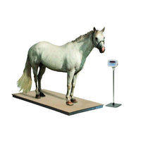 Jorgensen Labs J0825EM Equine Platform Scale
