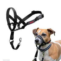 Jorgensen Labs HALTI Head Collar Size 2 - Professional Canine Control