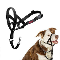 Jorgensen Labs Halti Head Collar Size 3 - Professional Canine Control Solution