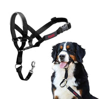 Jorgensen Labs Halti Head Collar Size 5 - Professional Canine Control System