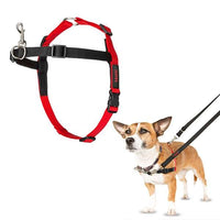 Jorgensen Labs Halti Head Collar Size 0 - Professional Canine Control