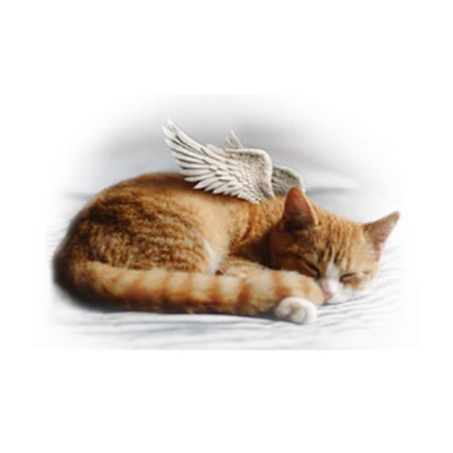 Jorgensen Labs "Freedom" Veterinary Sympathy Cards 5x7 — Professional Pet Loss Condolence Cards