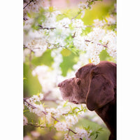 Jorgensen Labs Sympathy Cards - Season Change Series