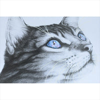 Jorgensen Labs Feline Sympathy Cards - 5" x 7" Professional Veterinary Stationery