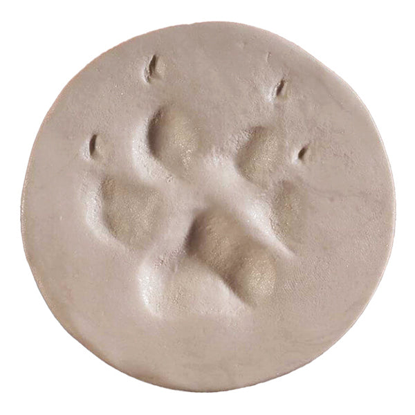 Jorgensen Labs J1500AS ClayPaws Kits & Accessories, Almond Shimmer kit