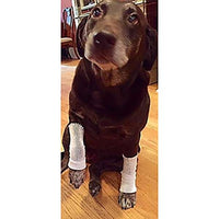 Jorgensen Labs Pet Net 3 Elastic Wound Dressing Retention