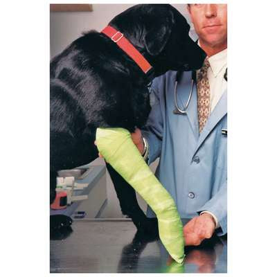 Jorgensen Labs Padded Pet Splint