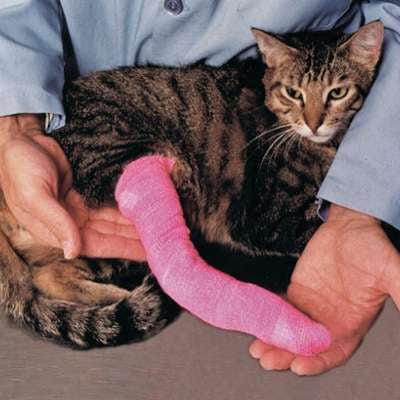 Jorgensen Labs Padded Pet Splint