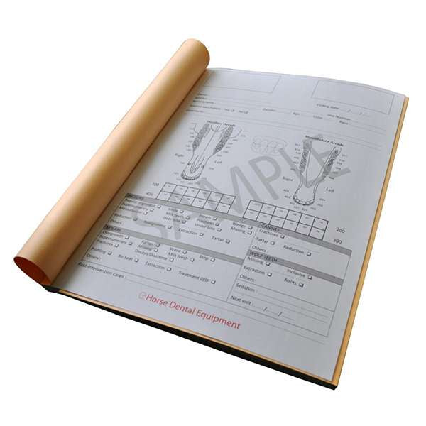 Jorgensen Labs J1699 Equine Dental Charts (English) - 50 Sheets